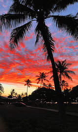 2012-10-16-18.16.22_tree_web Hawaii Kai sunset with palm tree in the foreground.