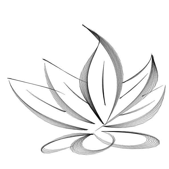 Lotusflow_web_website